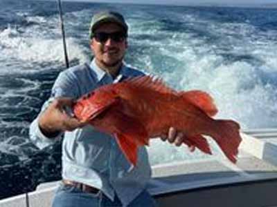 Offshore Freelance Charter